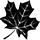 mapple